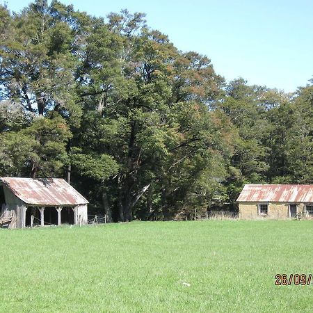 Wairau Pass B&B Saint Arnaud Dış mekan fotoğraf