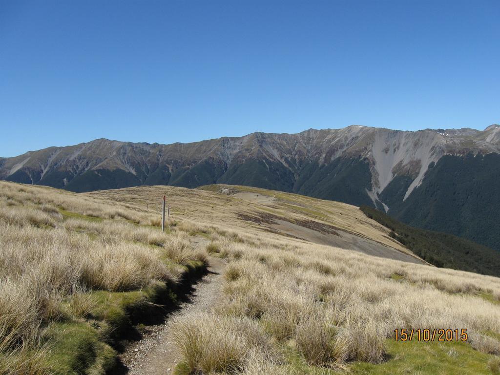 Wairau Pass B&B Saint Arnaud Dış mekan fotoğraf