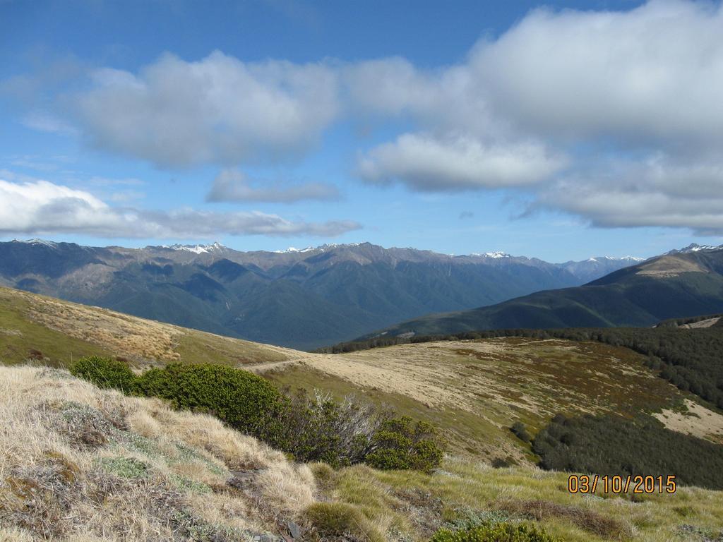 Wairau Pass B&B Saint Arnaud Dış mekan fotoğraf